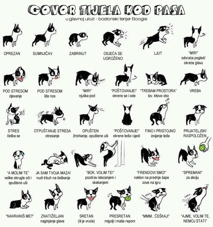 Nauči "pseći jezik"!