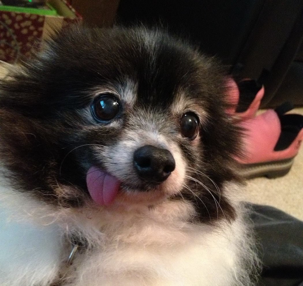 NIš ti ja ne znam, mali sam, daj njupat!