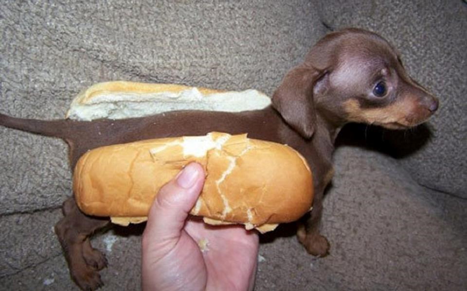 A nemoj malog hot-doga pojesti, imaj srca!