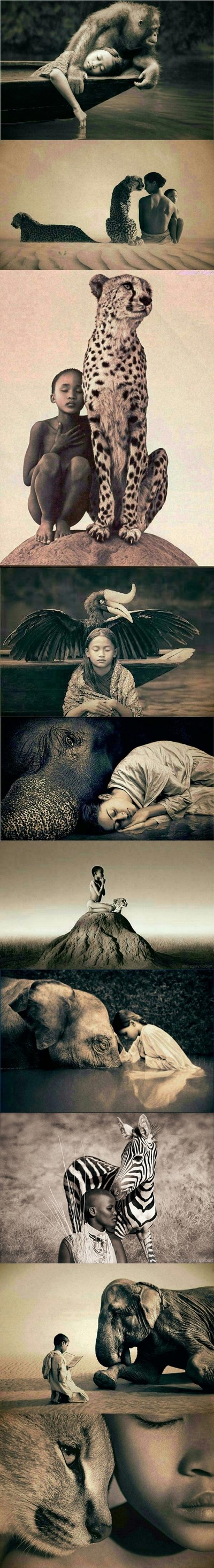 razumijevanje za životinje..