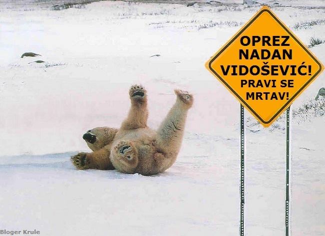 Polarni medvjedi razvili obranu od Vidoševića