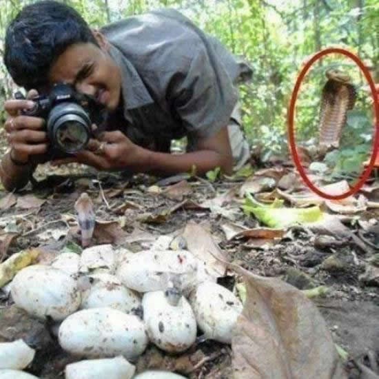 Pardon, gospodine, dajem vam još pola sekunde života