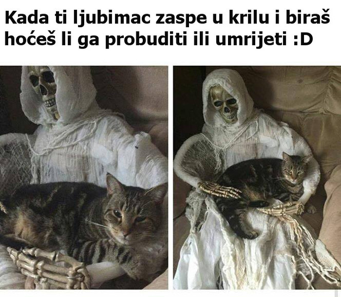 Ovo će shvatiti samo oni koji imaju ljubimce