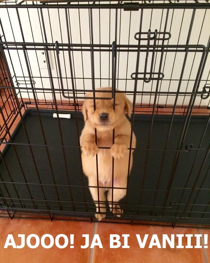 Što to tamo miriše!?