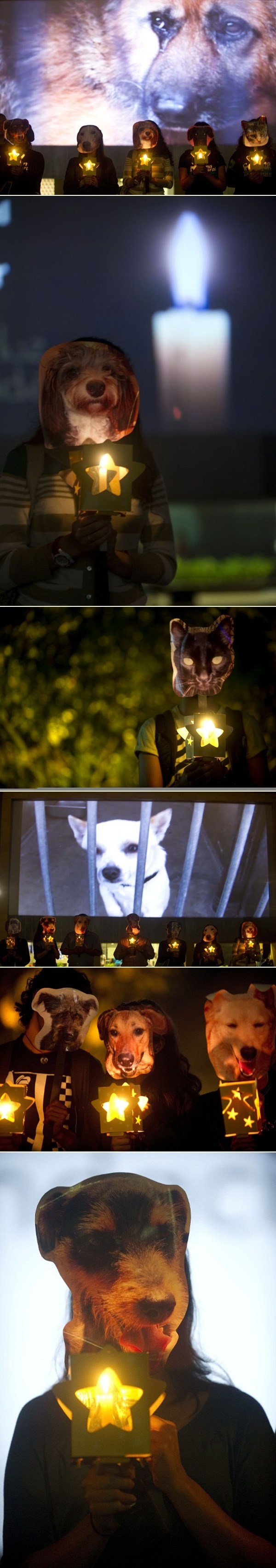 Ko napušteni psi: Prosvjed za prava svih odbačenih životinja