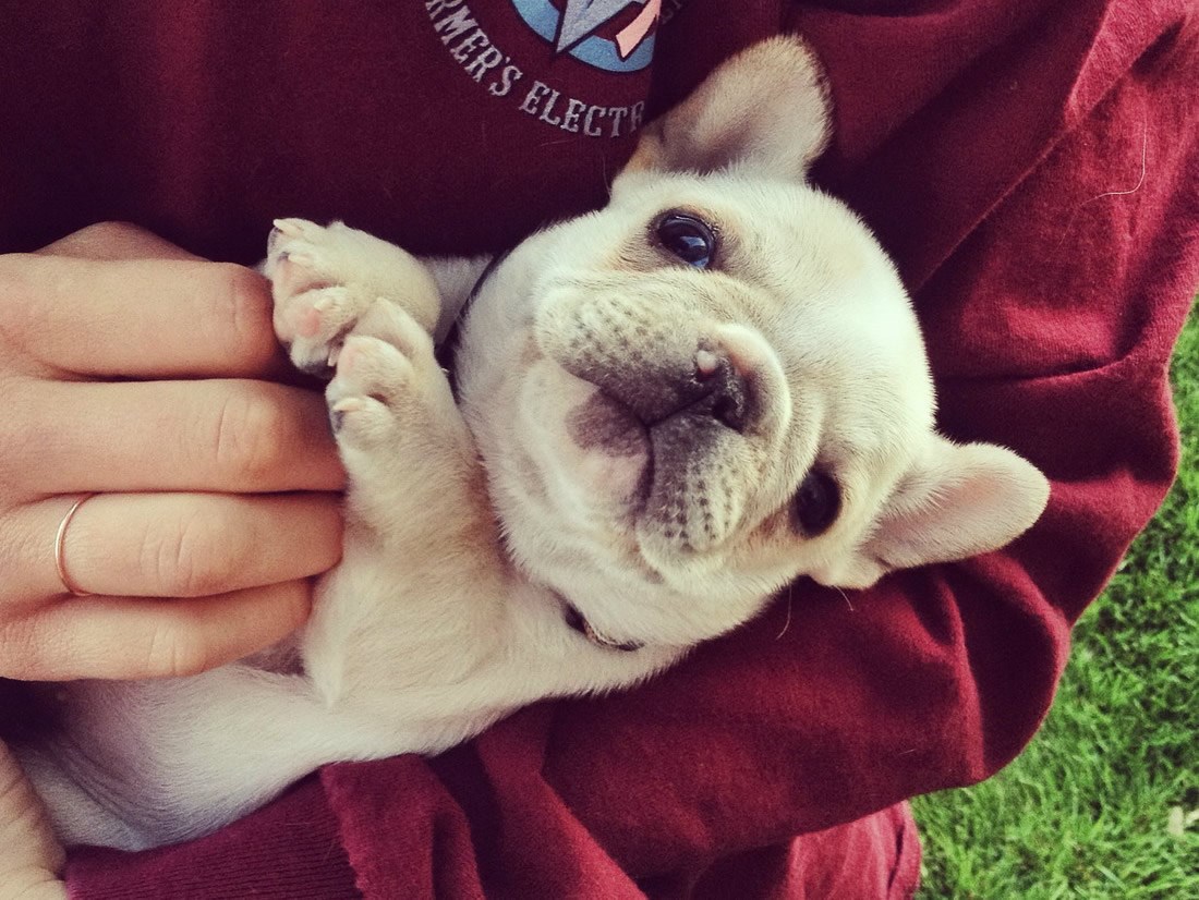 Vrijeme za češkanje trbuščića