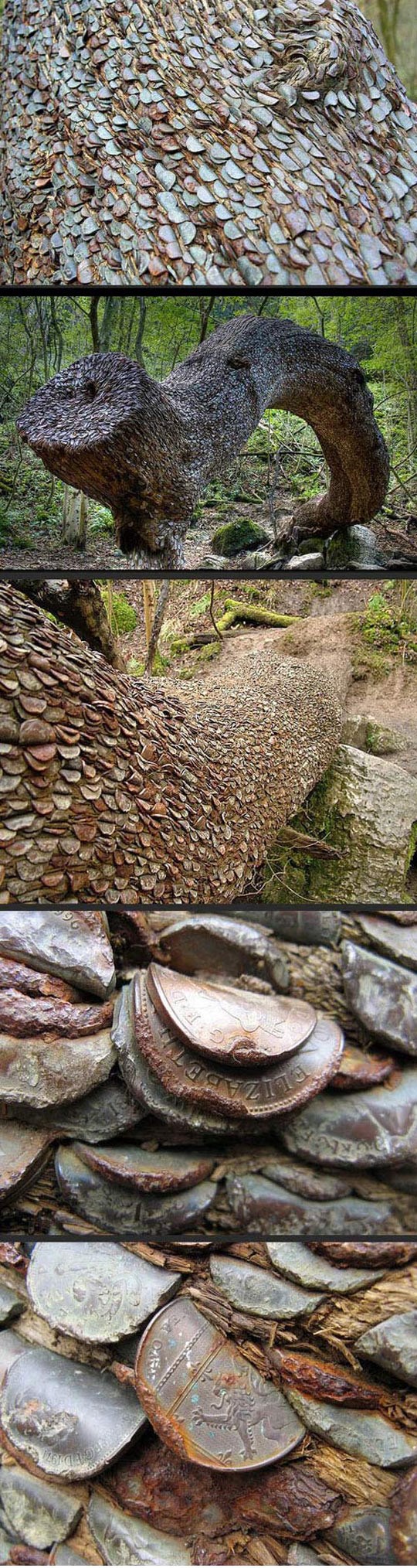 VJEROVALI ILI NE - Na ovom stablu rastu novci