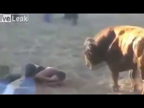 BIKOVA OSVETA: Više od 2 minute rogovima razarao čovjeka u areni!