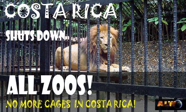 Kostarika prva zemlja koja je zabranila zoološke vrtove!