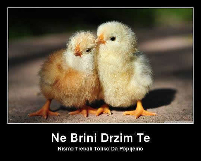 Moje prvo pijanstvo