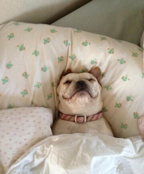 Gospodin se ne diže ni danas? Ne, Ankice, još je zima