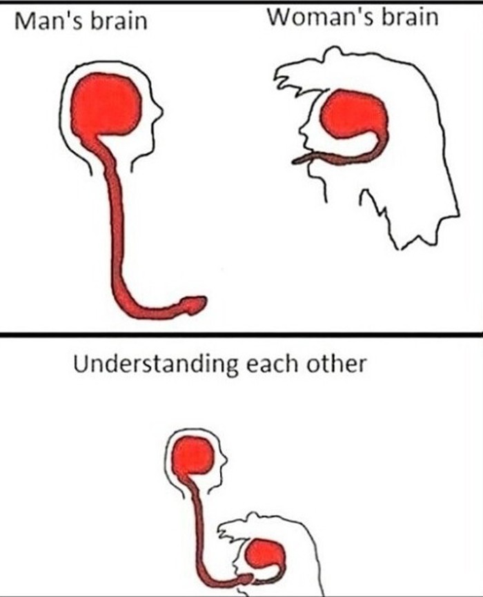 Za više razumijevanja među spolovima?