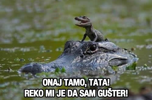 Sinčić krokodilčić doveo tatu jer su ga zezali