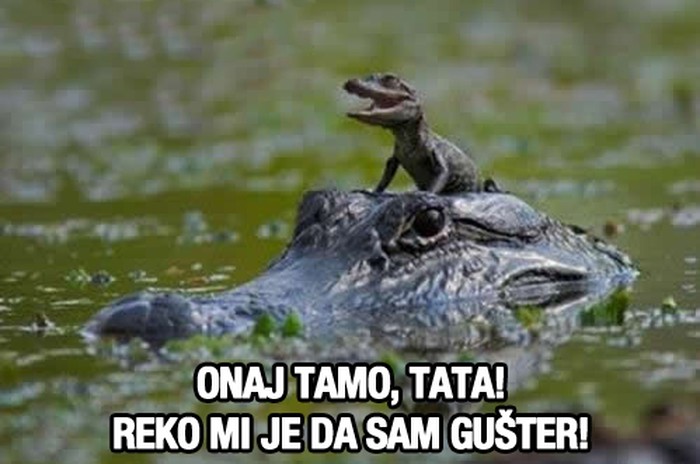 Sinčić krokodilčić doveo tatu jer su ga zezali