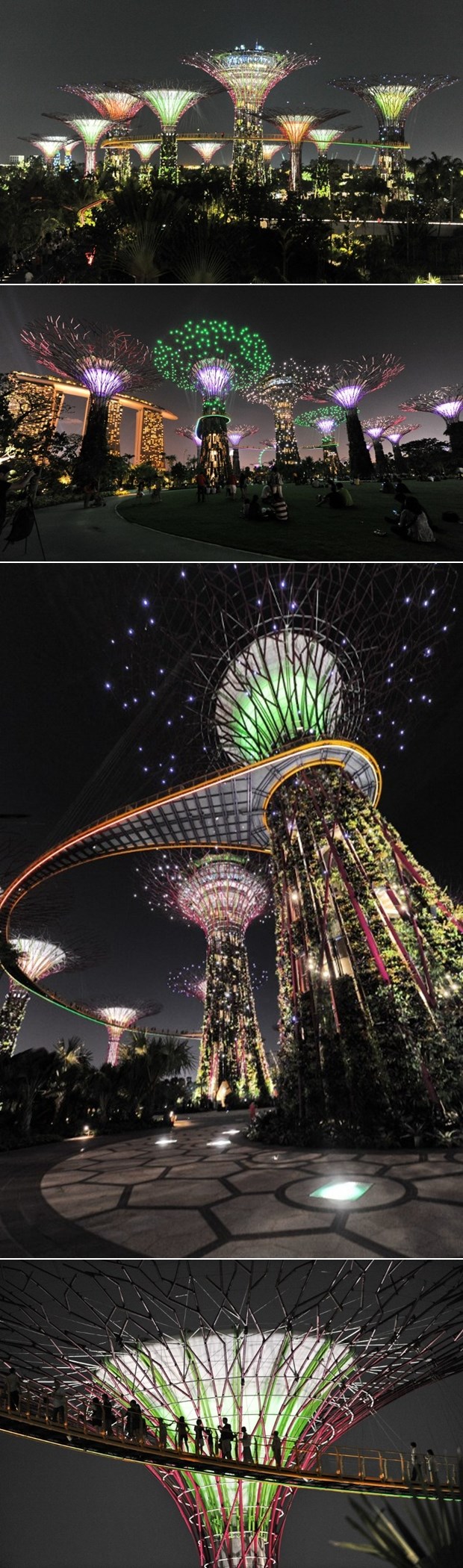 Čarobni Singapur: Supertrees Grove