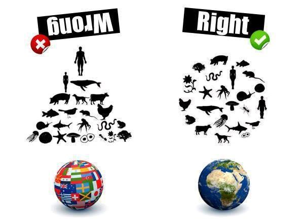 Čovjek nije kralj svemira, već ravnopravni dio Prirode