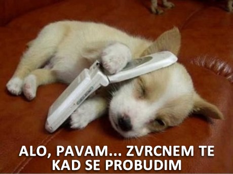 Usnuli psić ne voli raditi vikendima