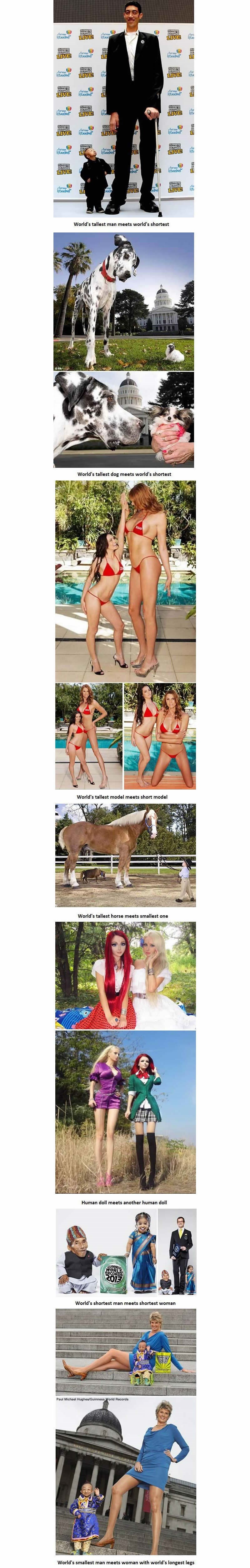 Najviši ljudi i životinje upoznaju najniže