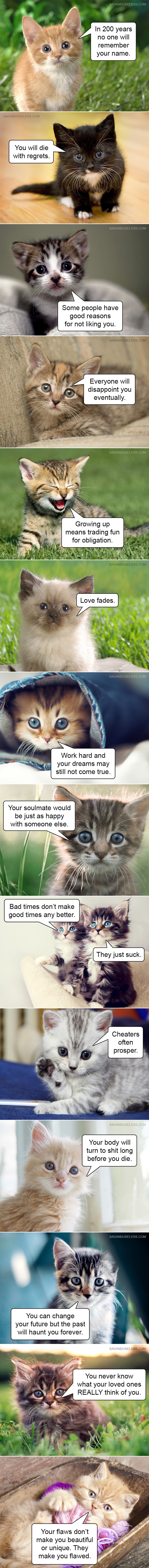 STRAVA: Okrutne životne istine od medenih maca