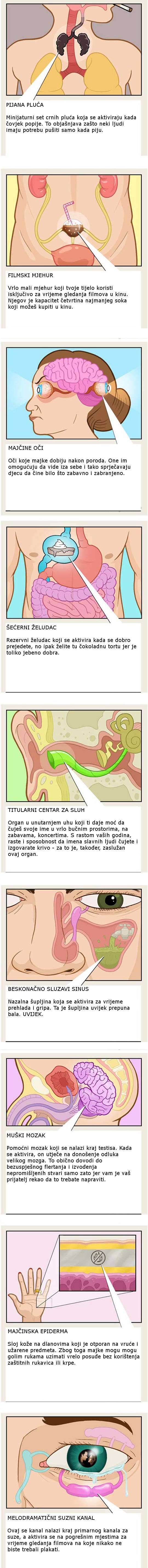 Skriveni dijelovi tijela za koje niste ni znali da ih imate