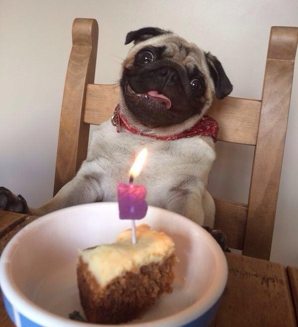 Awwwić, pa jel' to meni rođendan? :)