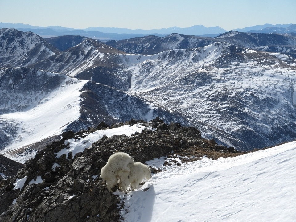 Tako se to radi: Savršen pogled za romantični ugođaj i "hop"