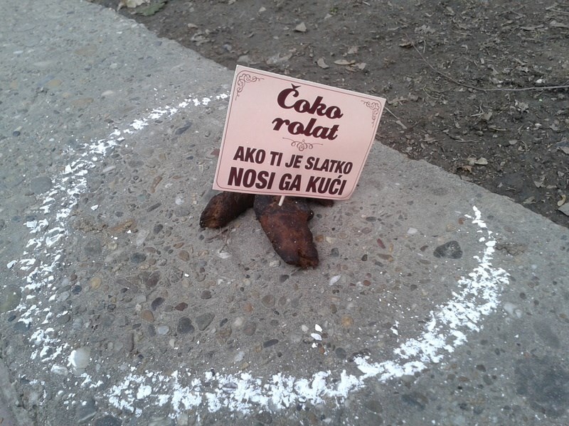 Kolege pasoljupci, čistite za svojim ljubimcima!