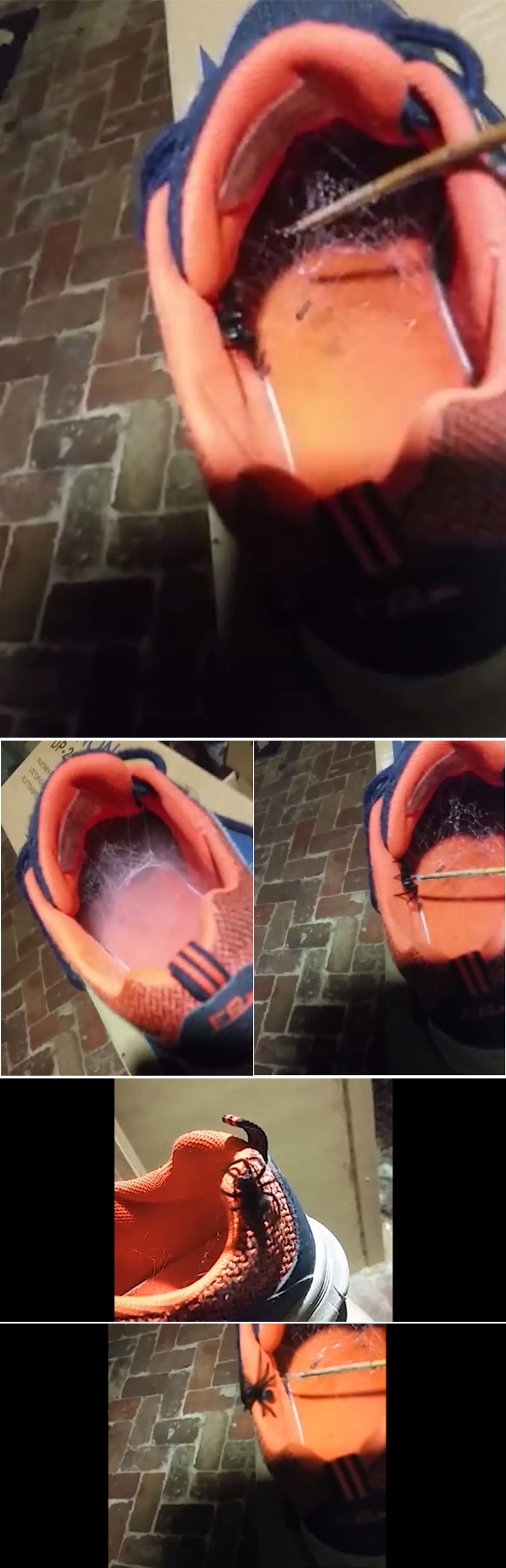 OSTAVIO JE TENISICE VANI: Ujutro je u njima našao pakao!