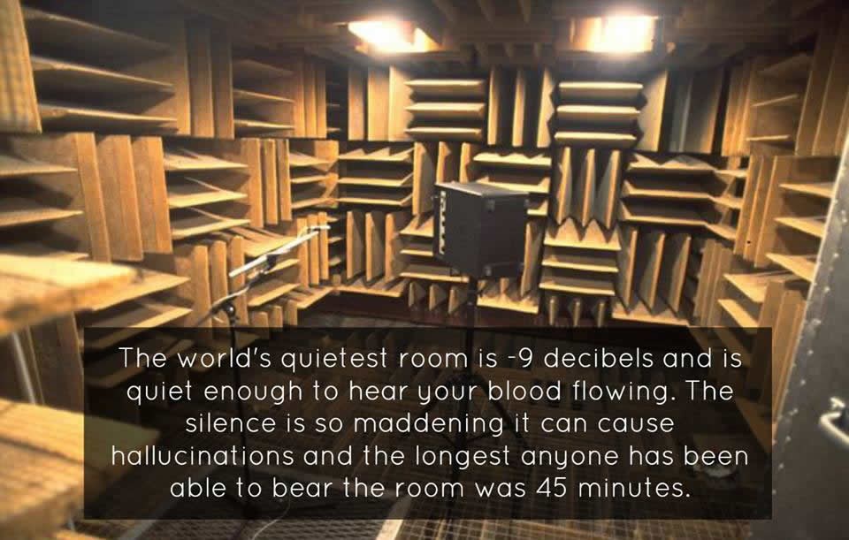 Najtiša soba na svijetu: Ostaneš predugo i poludiš