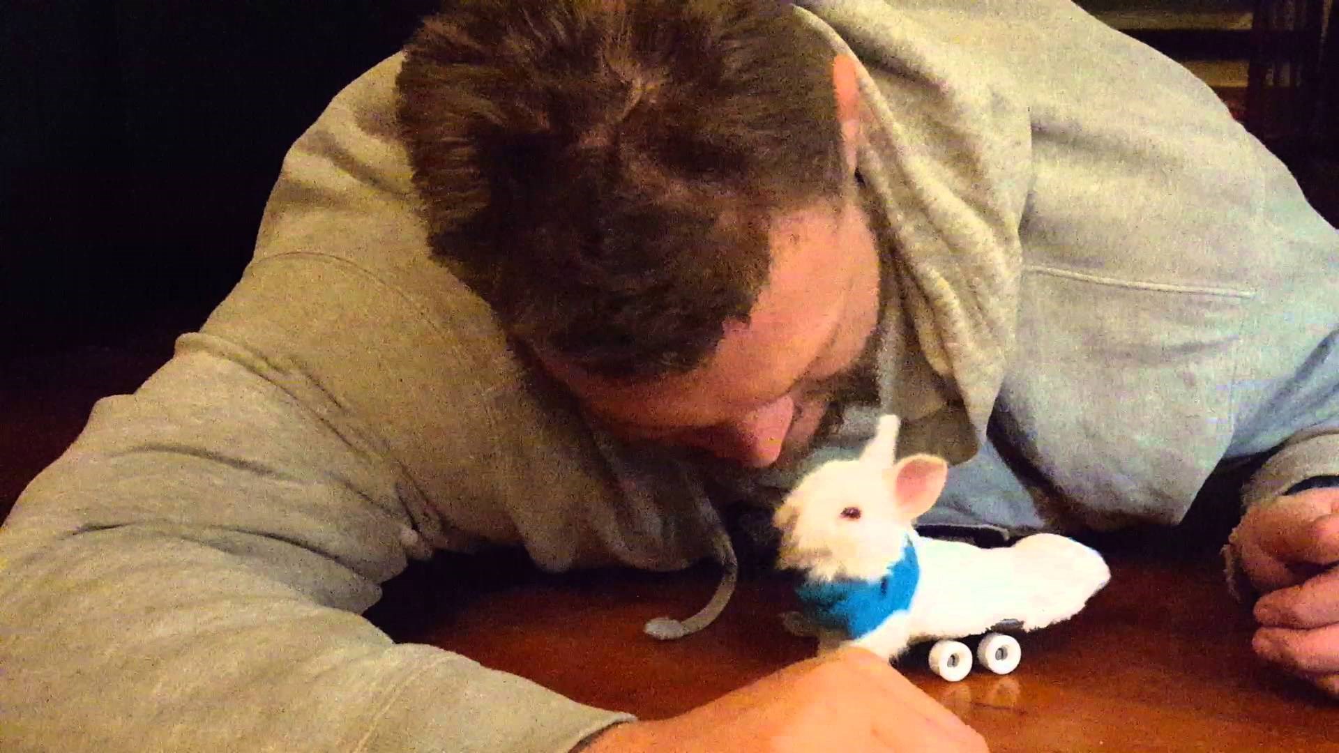 VIDEO KOJI PROBADA SRCE: Paralizirani zeko se ne predaje!