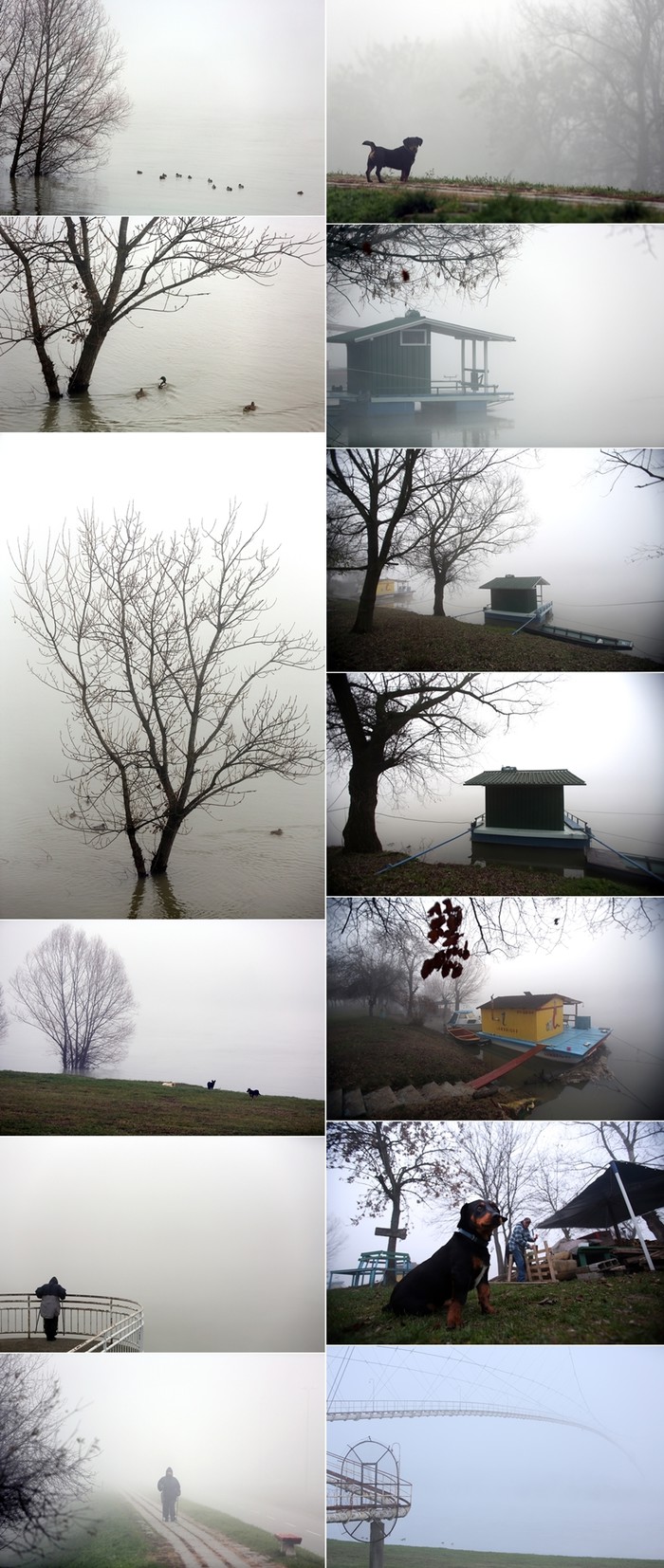Sava u maglovitom zimskom ogrtaču