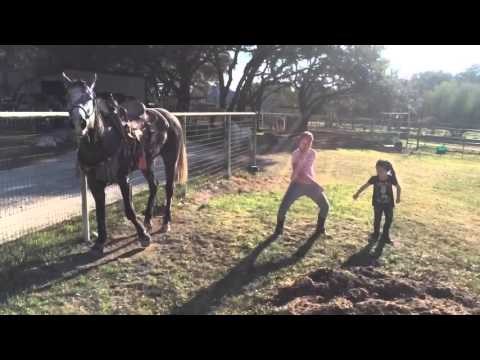 VIDEO: Djeca su počela s plesom, a reakcija konja je nevjerojatna!
