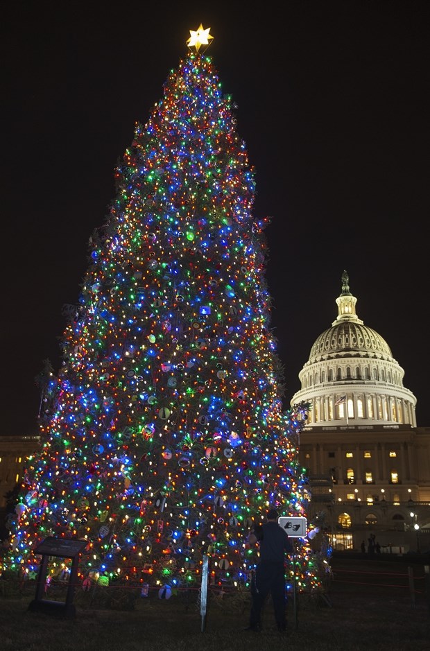 Veličanstveno božićno drvce zablistalo na Capitol Hillu