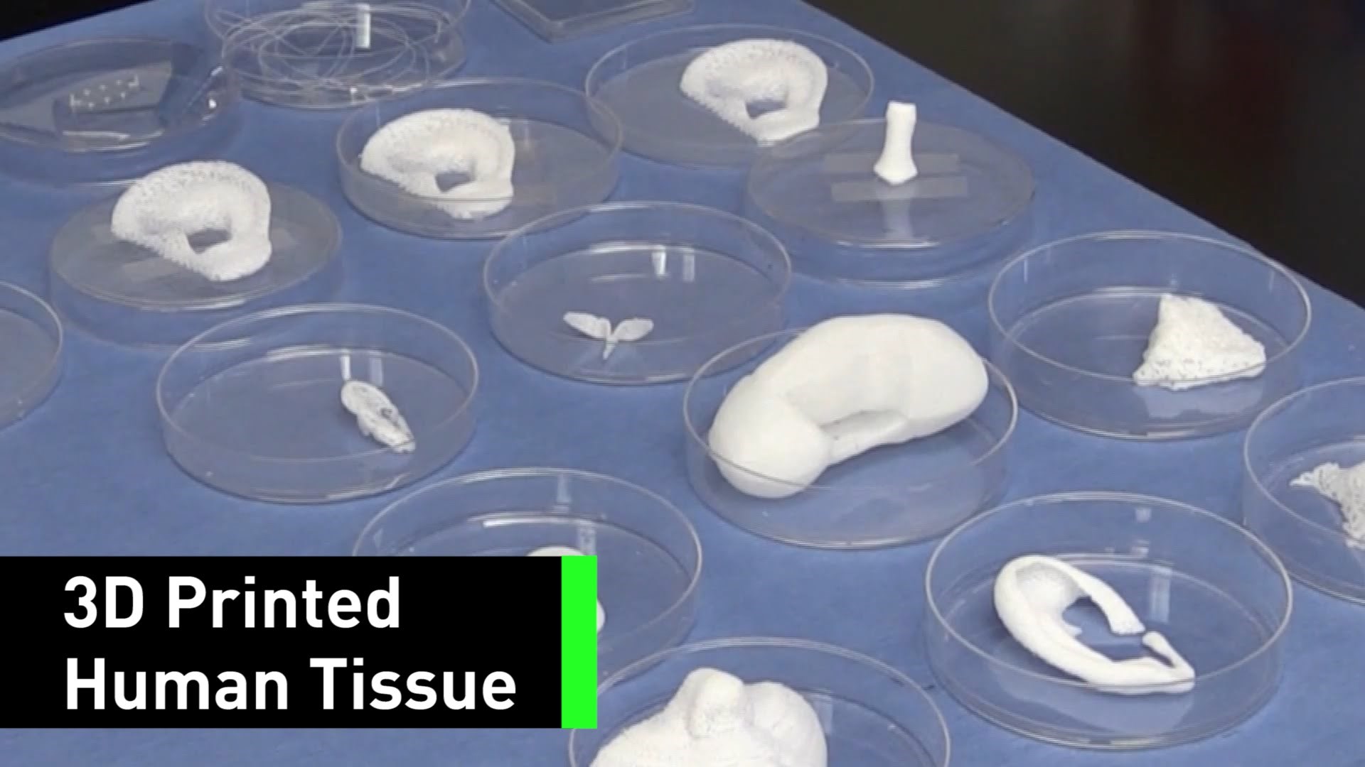 Ovaj 3D printer proizvodi ljudsko tkivo!