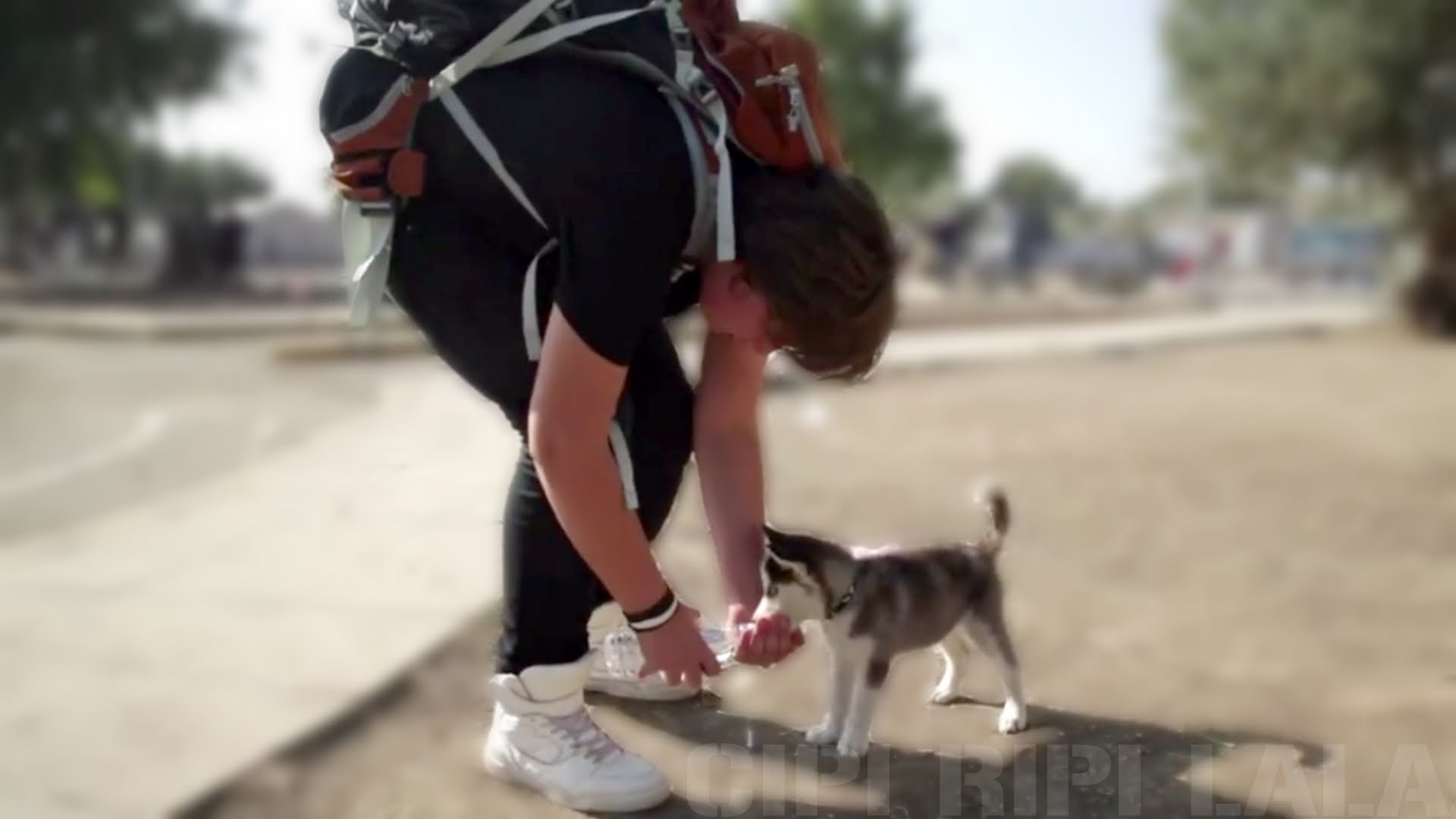 VIDEO: Sirijski dječak Aslan na put u nepoznato ponio je samo samo torbu i - svog psića