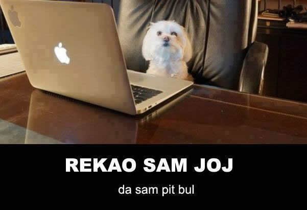 Spoj na slijepo nikad nije završio dobro