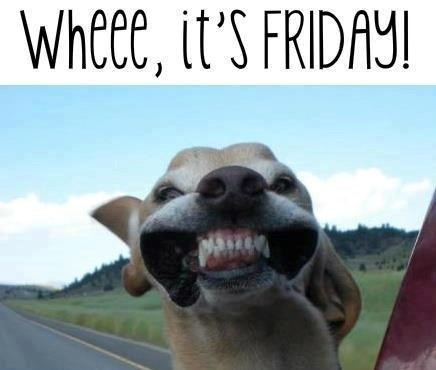 Tvoja faca kad konačno dočekaš petak