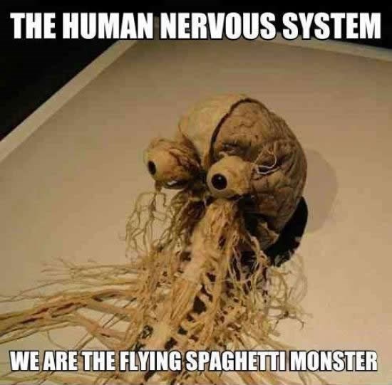 Krunski dokaz da je Leteće Špageti Čudovište jedini pravi bog!