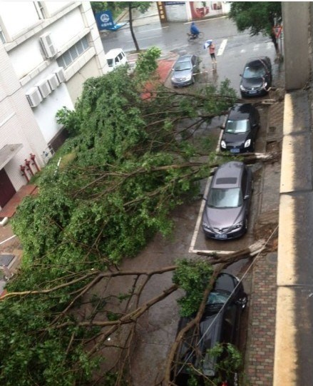 Eto zašto treba parkirati samo na označenim mjestima