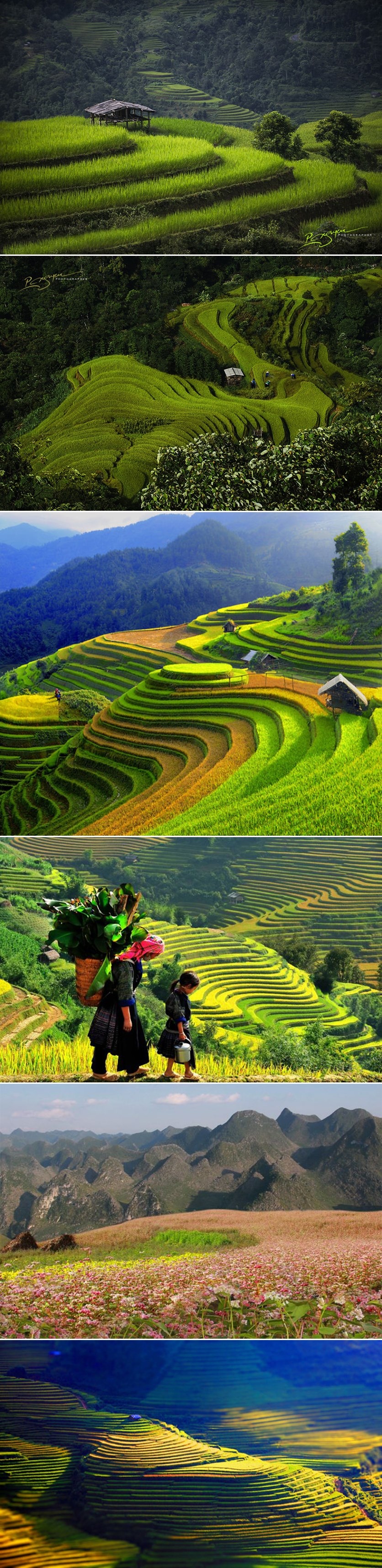 Vijetnam je dokaz da je Priroda vrhunski umjetnik