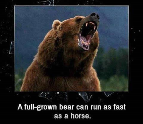 Živiš u zabludi da su medvjedi spori?