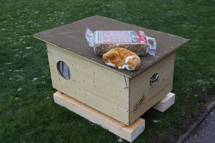 Kako to rade normalni ljudi: Beč spašava napuštene ljubimce