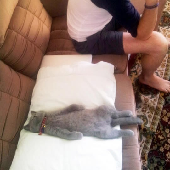 Cijeli dan ti lovim miševe, daj se makni da se naspavam!