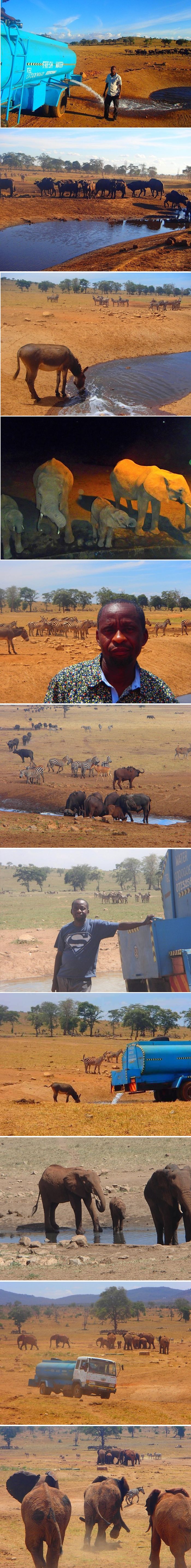 Ovaj čovjek svakoga dana putuje kako bi divlje životinje opskrbio vodom