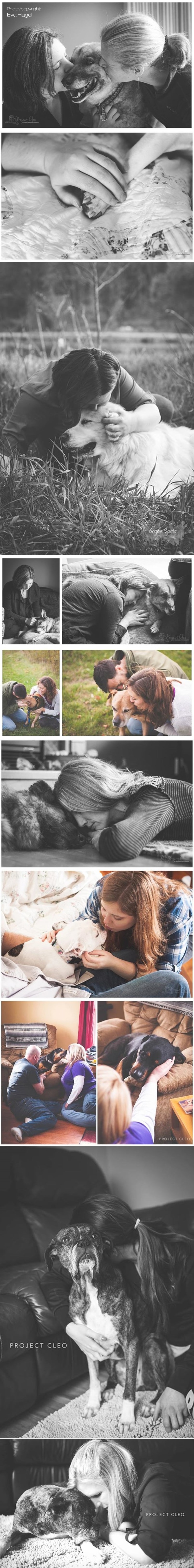 GALERIJA: Fotografkinja besplatno radi posljednje uspomene teško bolesnih ljubimaca