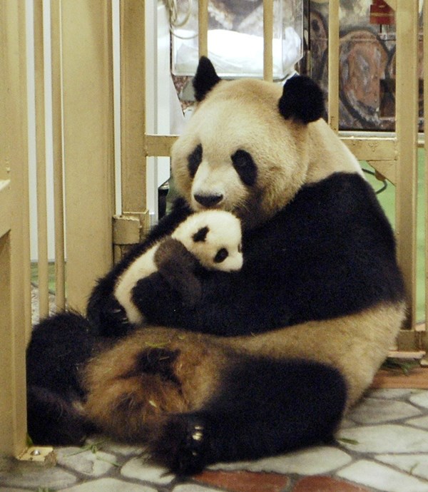 Ma ne da tebe mama nikome...