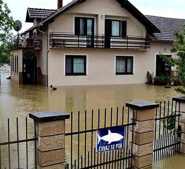 Bosanski humor u izvornom obliku