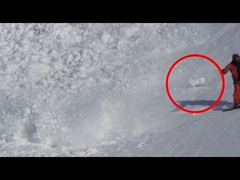 VIDEO: Superzec uletio u lavinu, dron snimio nevjerojatnu borbu za život!