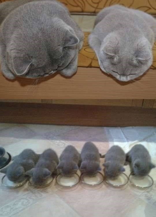 hehe..roditelji uvijek paze da se sve pojede..:))