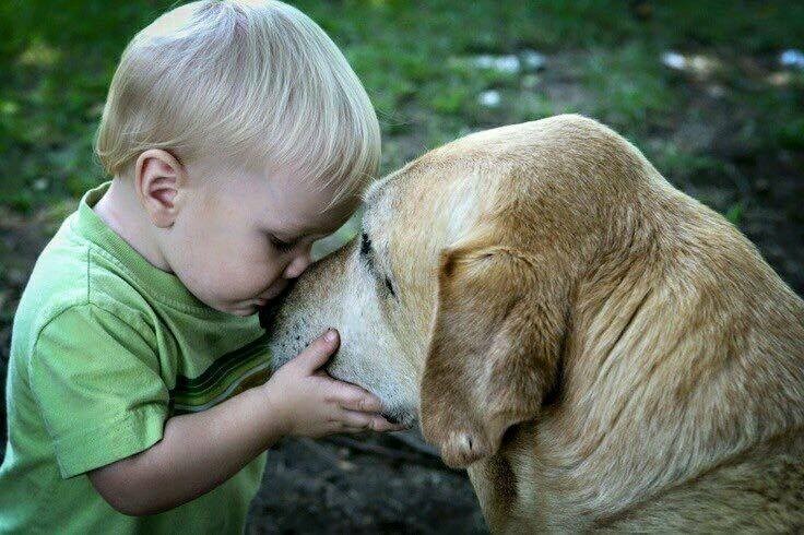 "Ti si moj prijatelj i ja te volim!"